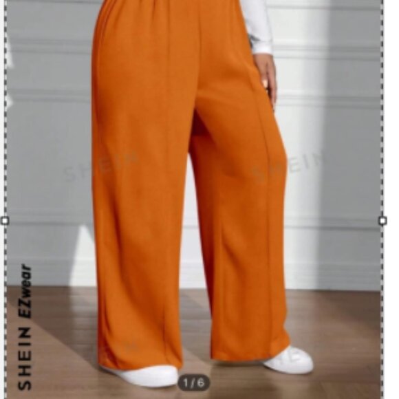 Plus Size Pants Pleated - Picture 2 of 3